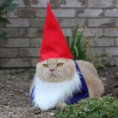 Gnomebase