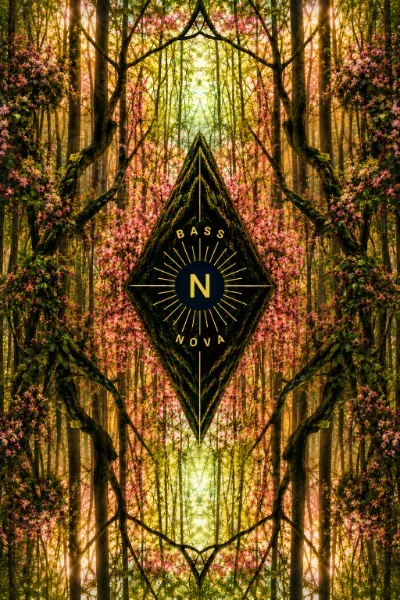 Bass n Nova