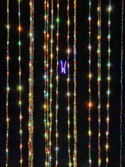Curtain of Childhood Whimsy